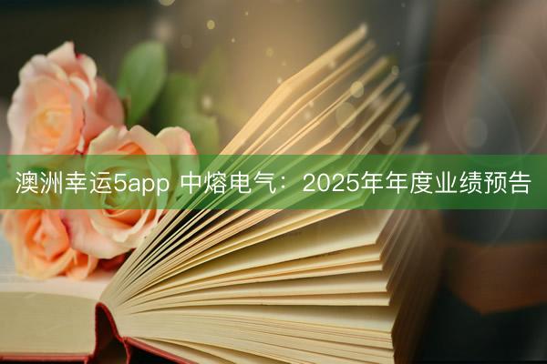 澳洲幸運5app 中熔電氣：2025年年度業(yè)績預(yù)告