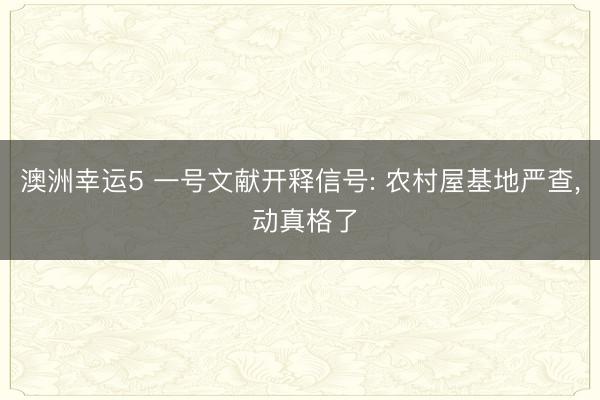 澳洲幸運5 一號文獻開釋信號: 農村屋基地嚴查, 動真格了