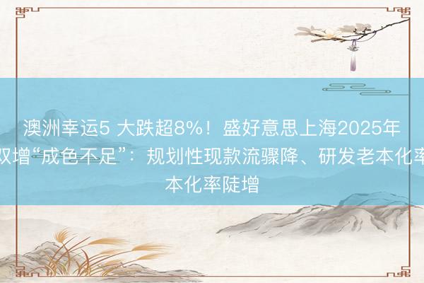 澳洲幸運(yùn)5 大跌超8%！盛好意思上海2025年牟利雙增“成色不足”：規(guī)劃性現(xiàn)款流驟降、研發(fā)老本化率陡增