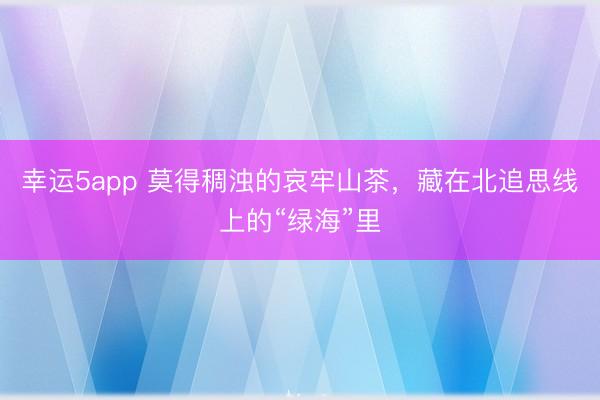 幸運5app 莫得稠濁的哀牢山茶，藏在北追思線上的“綠海”里