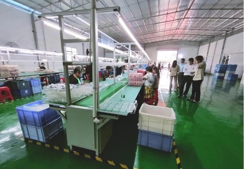 砥礪奮進啟新程，鄉村振興謀新篇——浛洸鎮張陂村玩具加工廠隆重開業