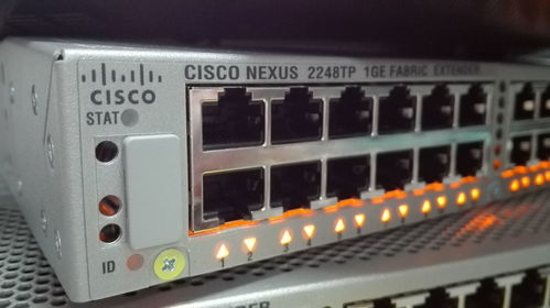 網(wǎng)絡(luò)工程畢業(yè)生的職業(yè)圖鑒 他們在哪里，后悔了嗎？